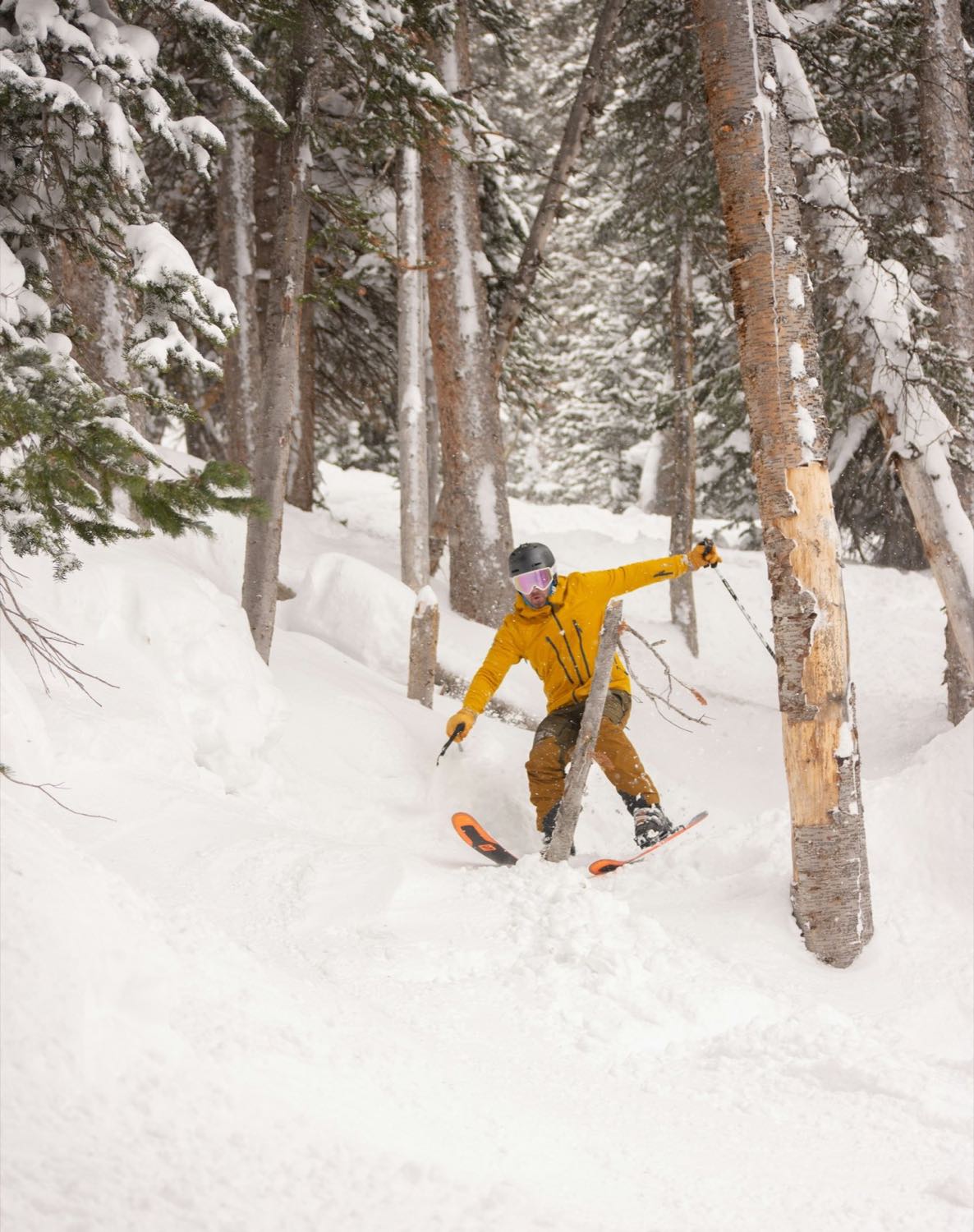 A skier in a yellow jacket turning through deep snow between bare aspen and snow-loaded spruce