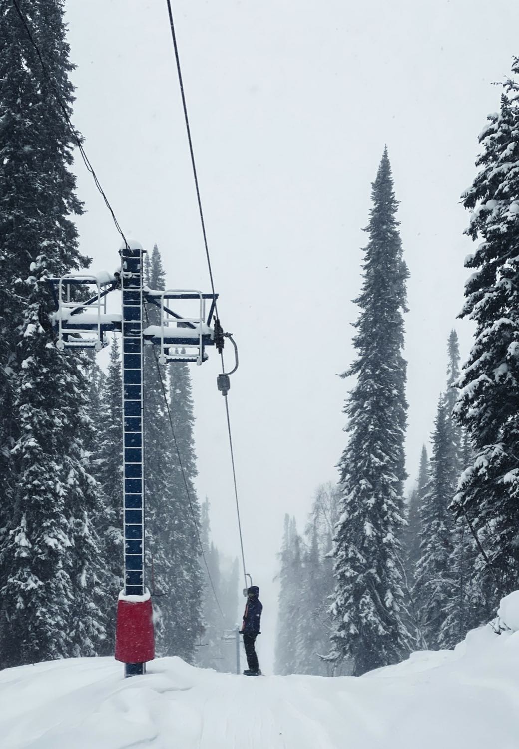 A surface-lift tower and a lone rider being towed uphill through heavy snowfall between tall spruce